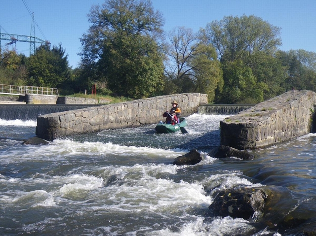 Sázavské hemžení