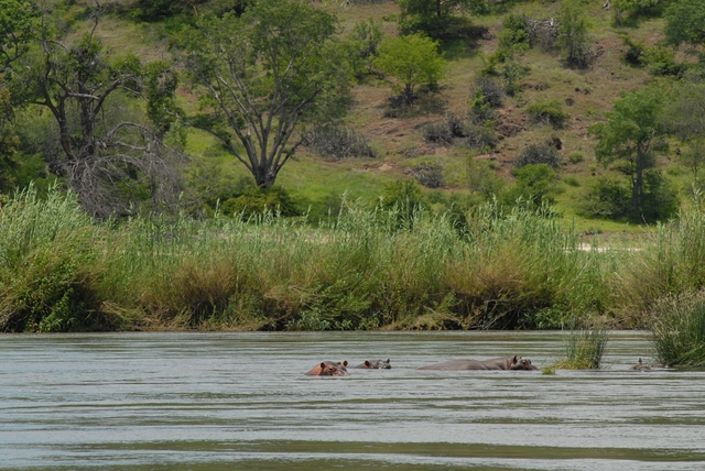 Silvestrovská Zambezi