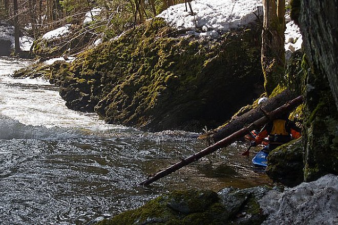 Pozor na stromy na Kamenici