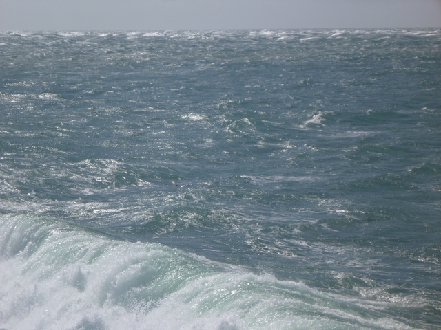 homeSEAhome 2012 - LUNDY 