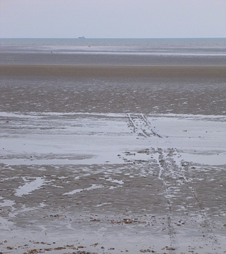 homeSEAhome 2012 - LUNDY 