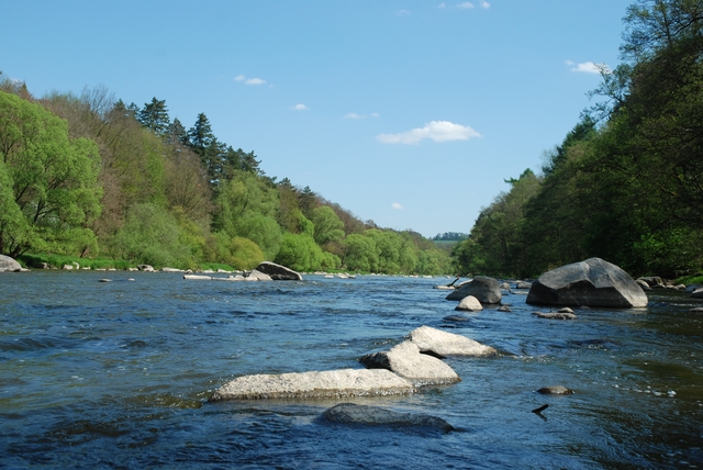 Sázava není holubník!