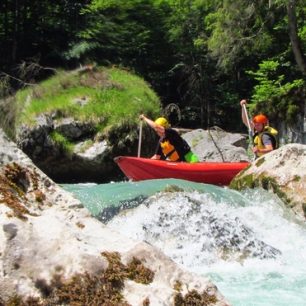 Pádlování u žabožroutů