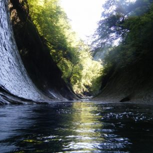 Pádlování u žabožroutů