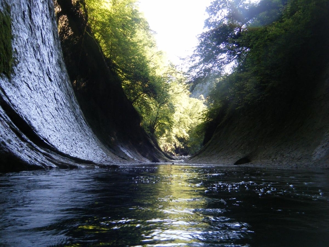 Pádlování u žabožroutů