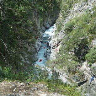 Pádlování u žabožroutů