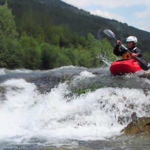 Pádlování u žabožroutů