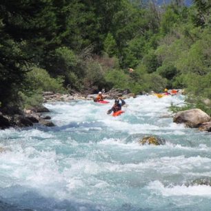 Pádlování u žabožroutů