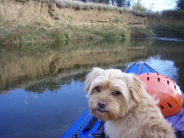 Burčákovka – oblíbená akce vodáků nejen z Kotvy