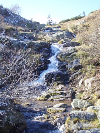 Proti proudu potoků k pramenům a studánkám