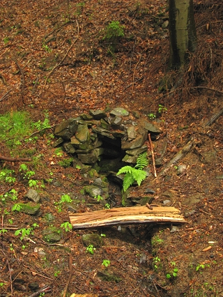 Proti proudu potoků k pramenům a studánkám