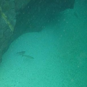 Vzpomínka na letní Soču