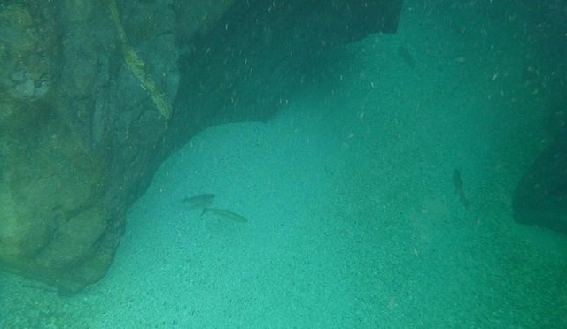 Vzpomínka na letní Soču