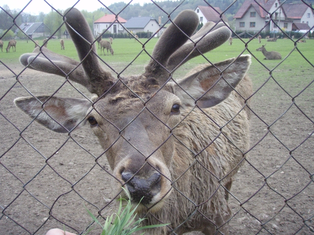 Československé řeky aneb jak jsme hledali vodu