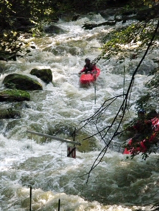 Hamerský potok 2013