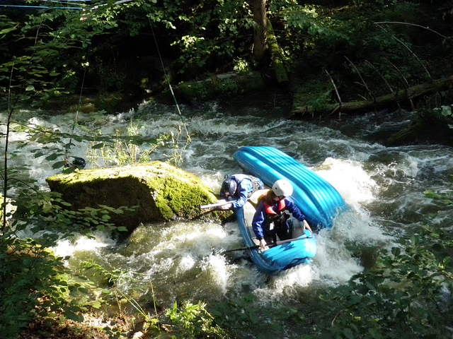 Hamerský potok 2013
