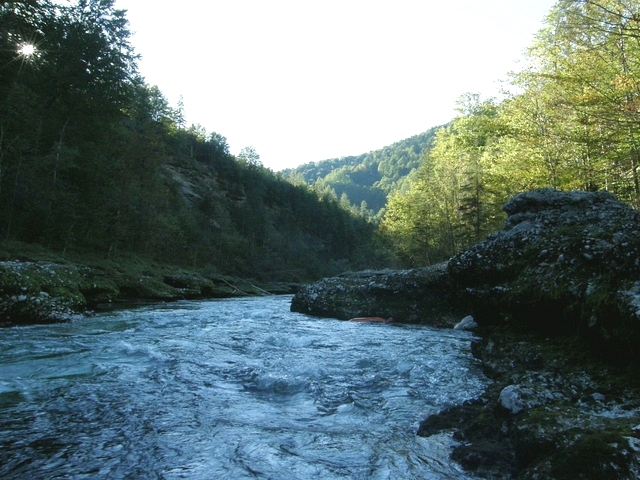 ZDrSEM</br>Podzimní Salza