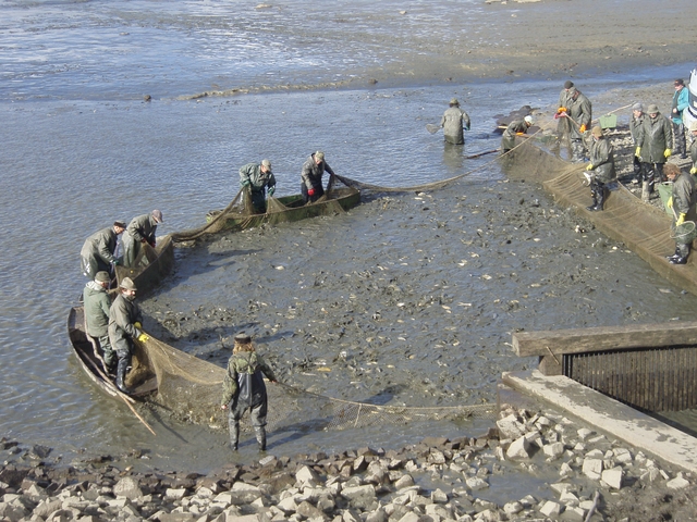 Téma předvánoční