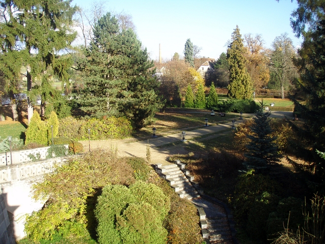 Téma předvánoční