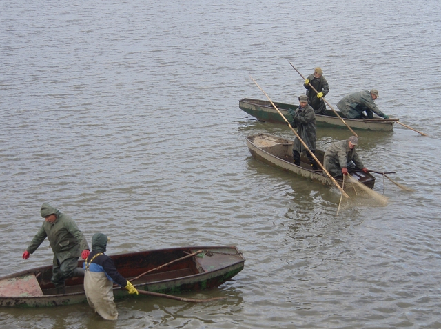 Téma předvánoční