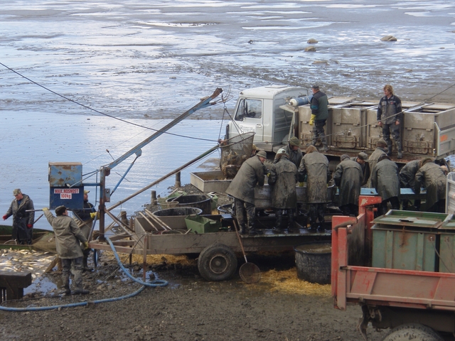 Téma předvánoční