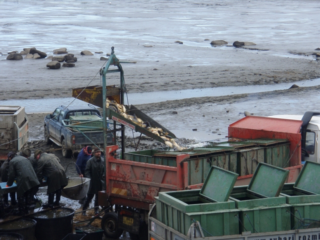 Téma předvánoční