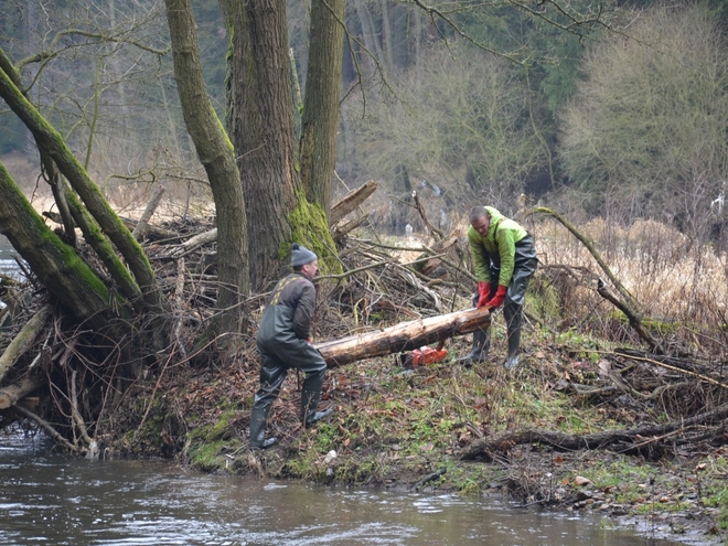 Část vodácké dálnice u Karlových Varů si oddychla od popadaných stromů