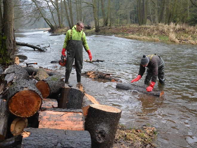 Část vodácké dálnice u Karlových Varů si oddychla od popadaných stromů