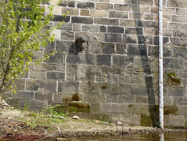 Divoká voda v Praze