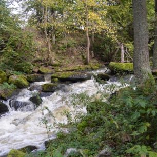 Deník věčné začátečnice – Jdu do akce!