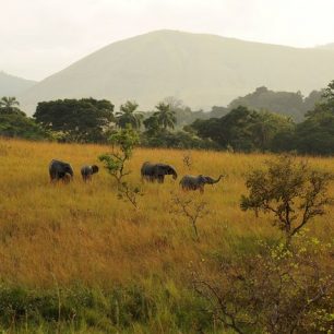 Cyklokajakářská výprava podél břehů Konga a Gabonu 
