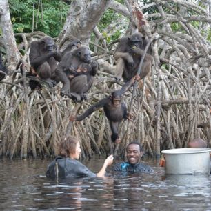 Cyklokajakářská výprava podél břehů Konga a Gabonu 