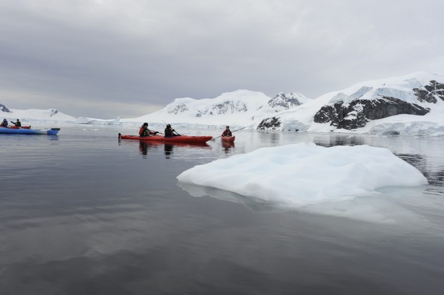 Plující ledy v zátoce Scontorp Cove