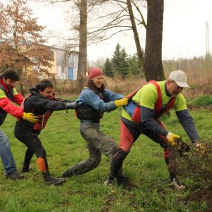 Čistá řeka Sázava