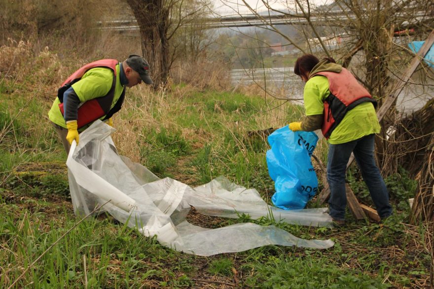 Čistá řeka Sázava