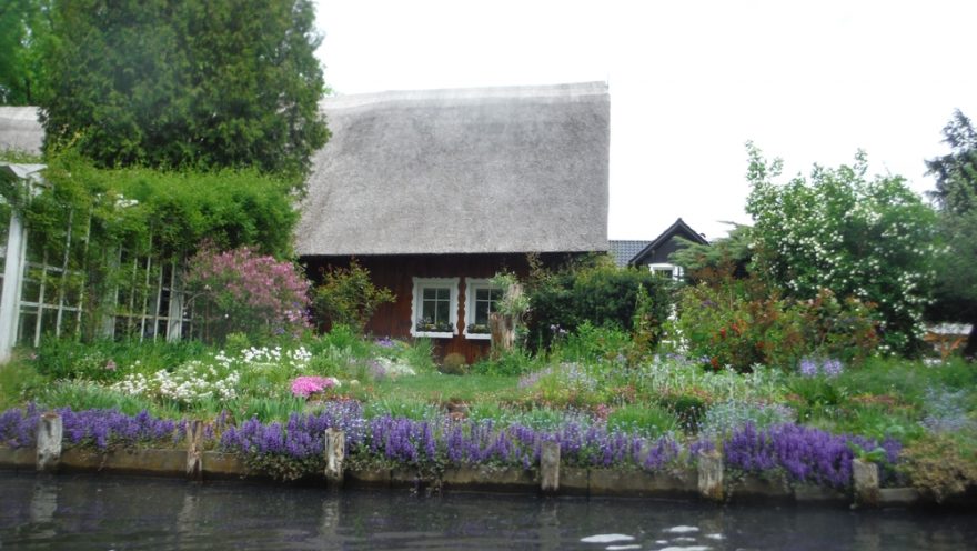 Spreewald / F: Vojta Jančar