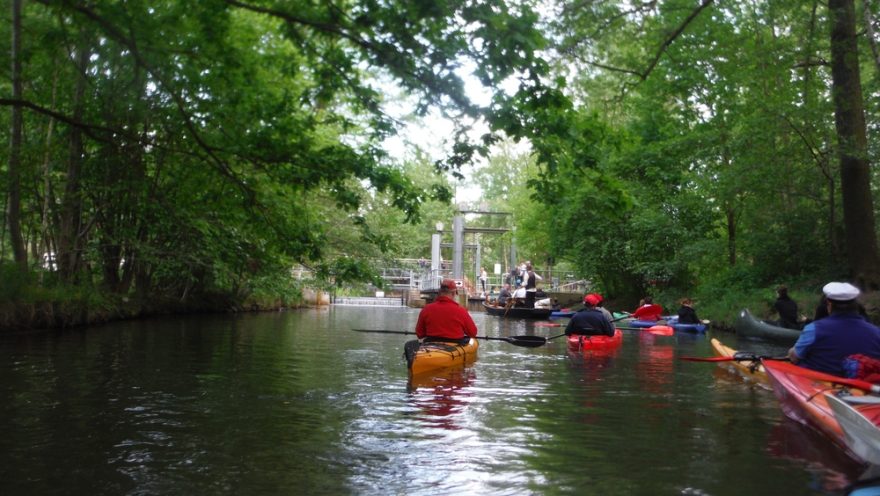 Spreewald / F: Vojta Jančar