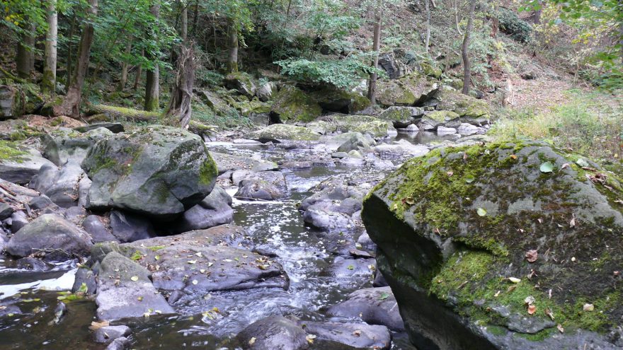 Koryto Doubravy - 2.10.2016