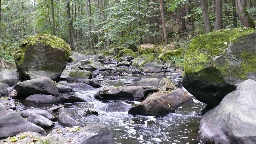 Koryto Doubravy - 2.10.2016