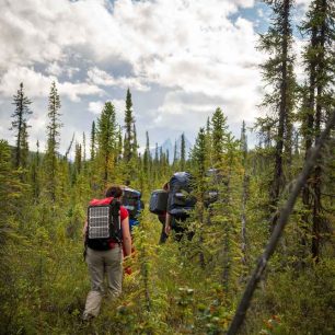 Vyrážíme prozkoumat Arrigetch Peaks pěšky. Nejsou tu ale žádné cesty ani stezky, a tak hledáme nejkratší cestu lesem. / F: Fjolls Expedition