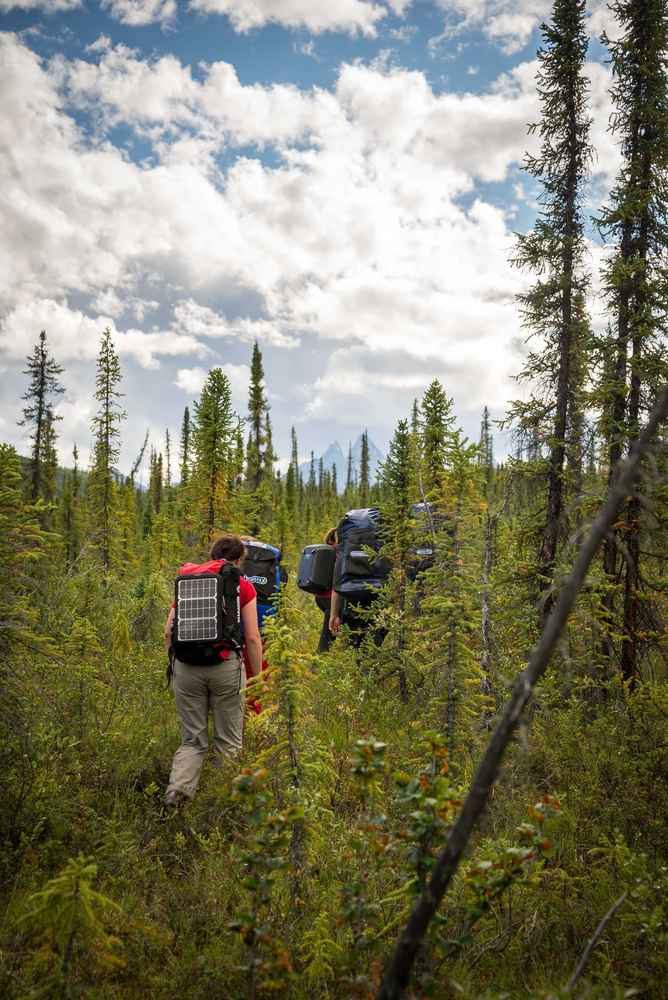 Vyrážíme prozkoumat Arrigetch Peaks pěšky. Nejsou tu ale žádné cesty ani stezky, a tak hledáme nejkratší cestu lesem. / F: Fjolls Expedition