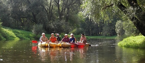 Dyje horní – mezi přehradami