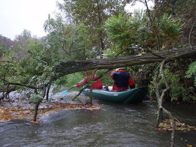 Občas ale mohou překvapit padlé stromy