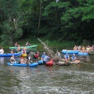 Na Jihlavě najdete krásnou přírodu