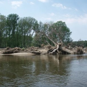 Dávejte pozor na padlé stromy a naplaveniny v řečišti