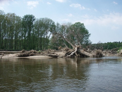 Dávejte pozor na padlé stromy a naplaveniny v řečišti