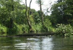 Mže – nenáročná plavba kousek od Plzně