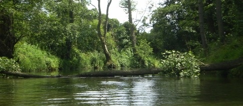 Mže – nenáročná plavba kousek od Plzně