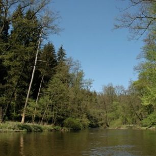 Po Ohři poplujete nádhernou přírodou