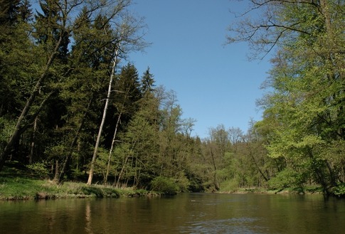 Po Ohři poplujete nádhernou přírodou